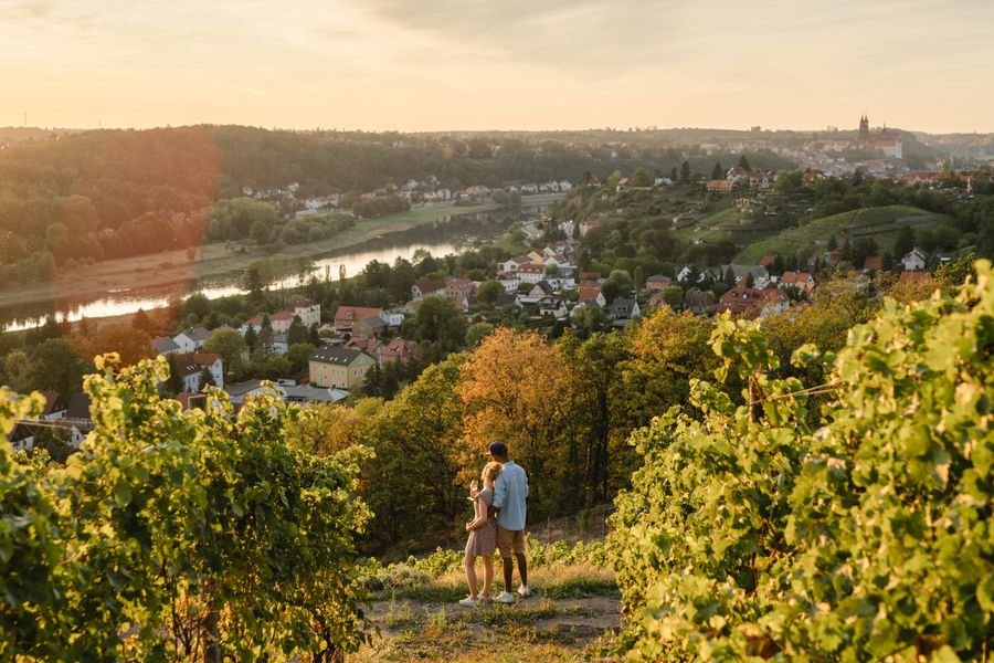 Sonnenuntergang in den Weinbergen.