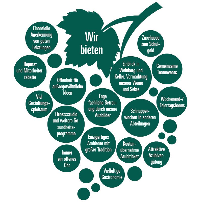 Infografik in Traubenform: „Wir bieten“ — Leistungen für Auszubildende im Sächsischen Staatsweingut Schloss Wackerbarth