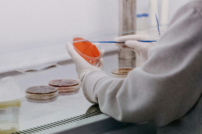 Eine Person in einem Labor tropft mit einer Pipette etwas in eine Petrischale.