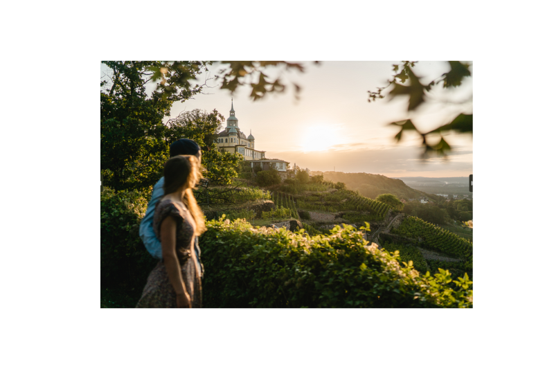 Frau blickt bei Sonnenuntergang über die Weinberge zum Spitzhaus, Motiv der Tage des offenen Weingutes