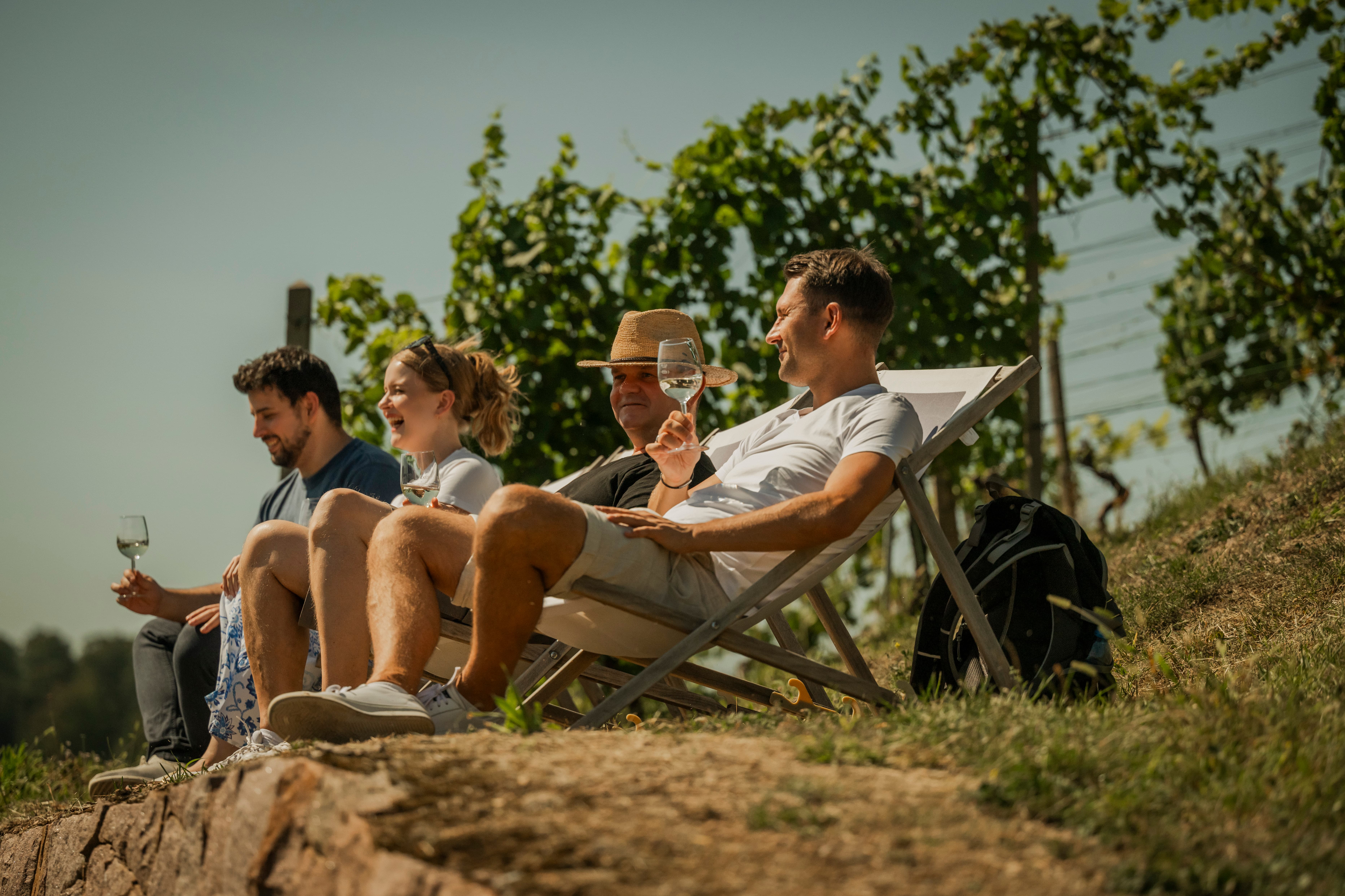 Weinvielfalt hautnah erleben - an den Tagen des offenen Weingutes