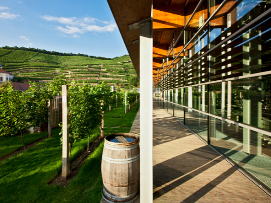 Terrasse der Manufaktur von Schloss Wackerbarth mit Weinfass, dahinter die Weinbergterrassen