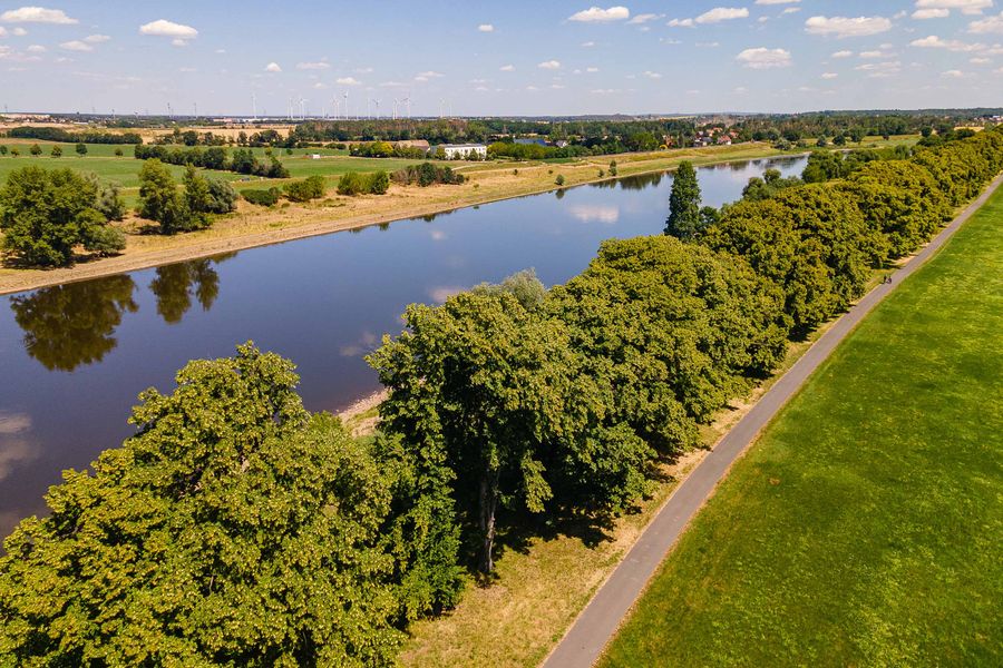 Die Elbe bei Riesa