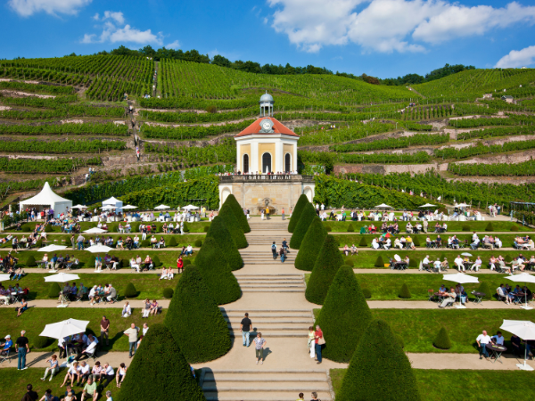 Weinbergterrassen von Schloss Wackerbarth mit Belvedere und Veranstaltungsgästen im Garten