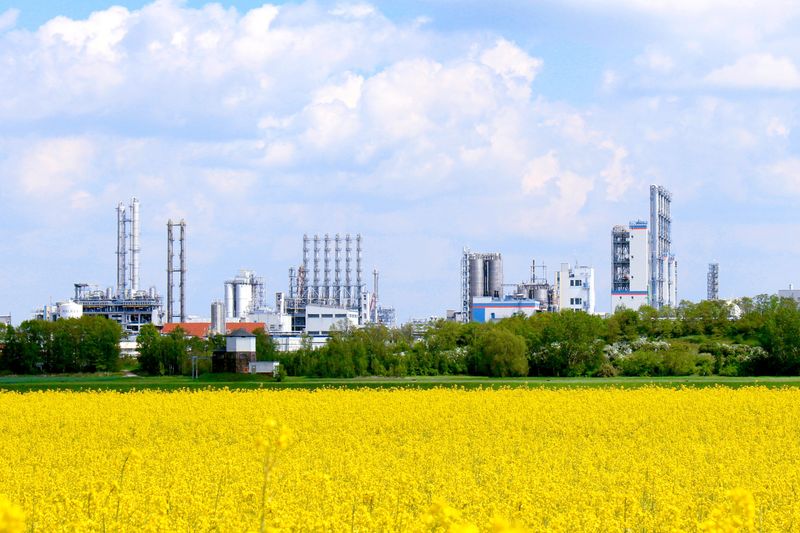 Chemiestandort Nünchritz hinter einem blühenden Rapsfeld