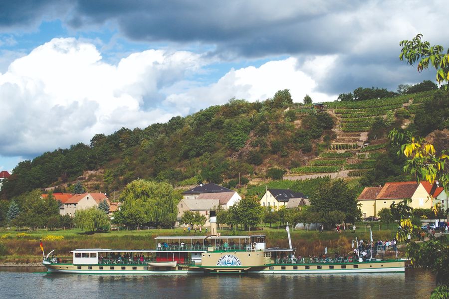 Ein Dampfer der Sächsische Dampfschifffahrt vor den Weinbergen im MEISSNER LAND